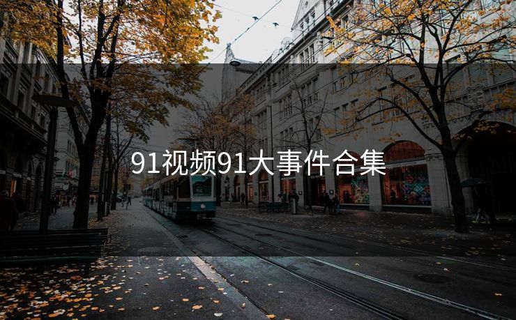 91视频91大事件合集