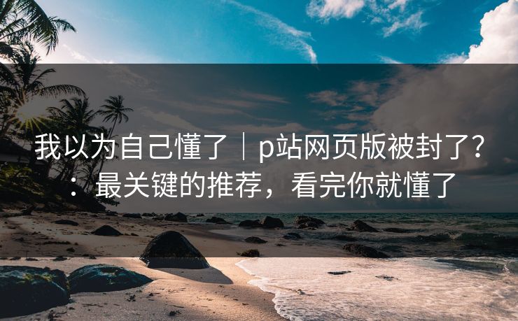 我以为自己懂了｜p站网页版被封了？：最关键的推荐，看完你就懂了