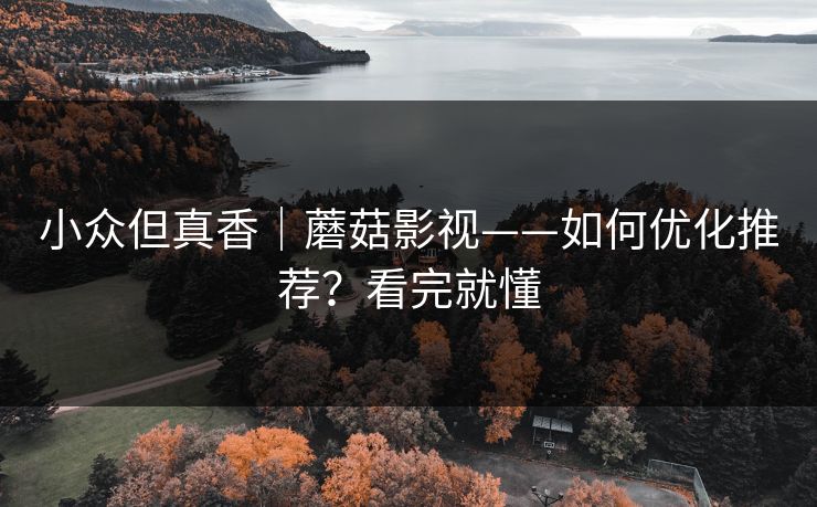 小众但真香|蘑菇影视——如何优化推荐?看完就懂 小众但真香|蘑菇影视——如何优化推荐?看完就懂