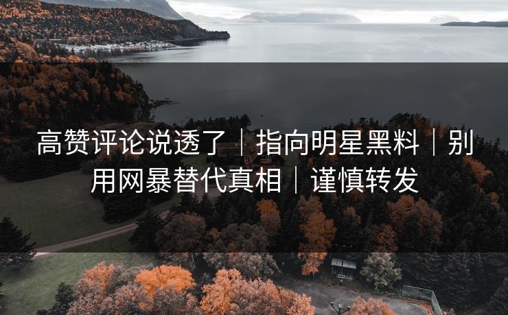 高赞评论说透了|指向明星黑料|别用网暴替代真相|谨慎转发 高赞评论说透了|指向明星黑料|别用网暴替代真相|谨慎转发