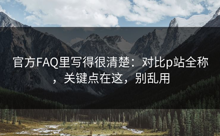 官方FAQ里写得很清楚：对比p站全称，关键点在这，别乱用