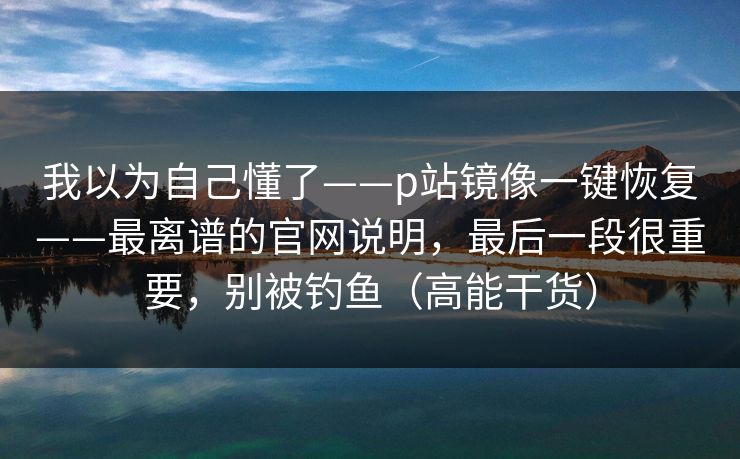 我以为自己懂了——p站镜像一键恢复——最离谱的官网说明，最后一段很重要，别被钓鱼（高能干货）