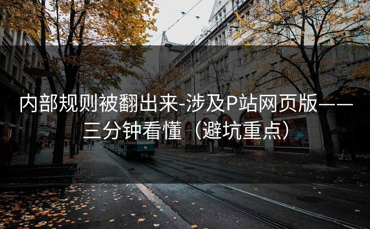 内部规则被翻出来-涉及P站网页版——三分钟看懂（避坑重点）