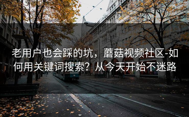 老用户也会踩的坑，蘑菇视频社区-如何用关键词搜索？从今天开始不迷路