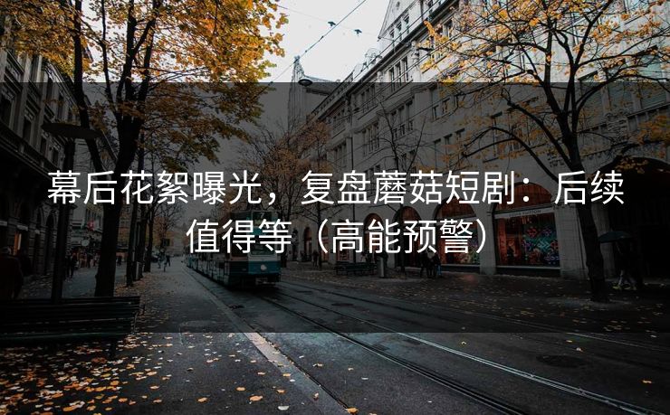 幕后花絮曝光，复盘蘑菇短剧：后续值得等（高能预警）