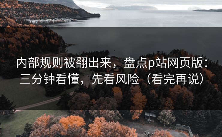 内部规则被翻出来，盘点p站网页版：三分钟看懂，先看风险（看完再说）