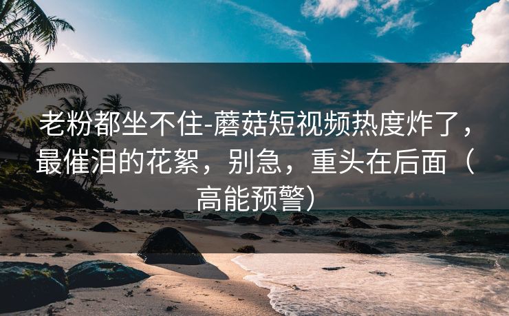 老粉都坐不住-蘑菇短视频热度炸了，最催泪的花絮，别急，重头在后面（高能预警）