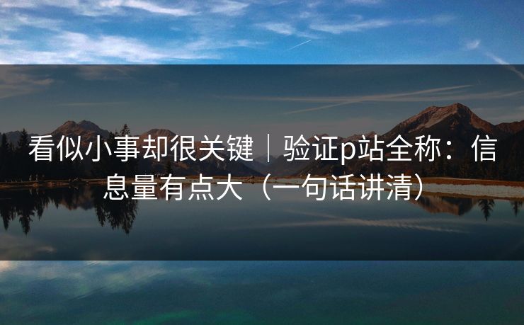 看似小事却很关键｜验证p站全称：信息量有点大（一句话讲清）