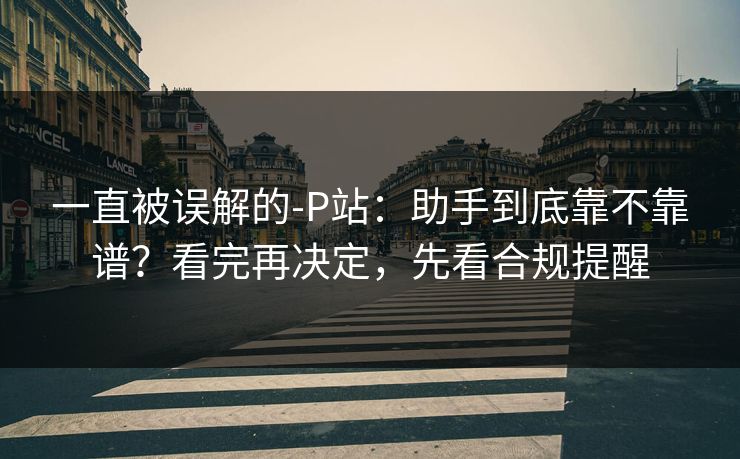 一直被误解的-P站：助手到底靠不靠谱？看完再决定，先看合规提醒